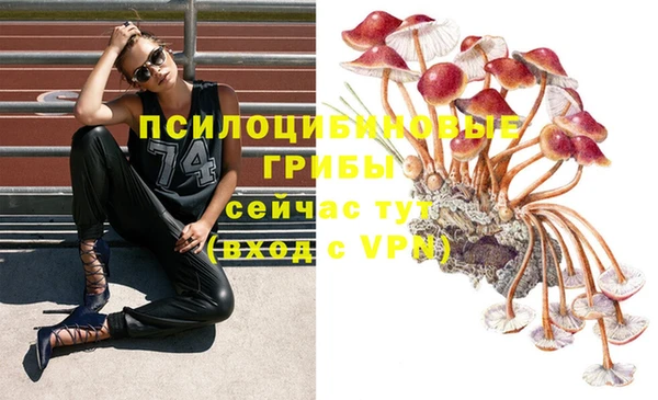 винт Алексеевка