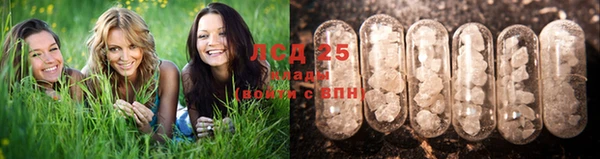 винт Алексеевка