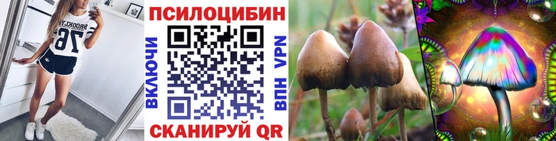 Псилоцибиновые грибы GOLDEN TEACHER  Хадыженск 